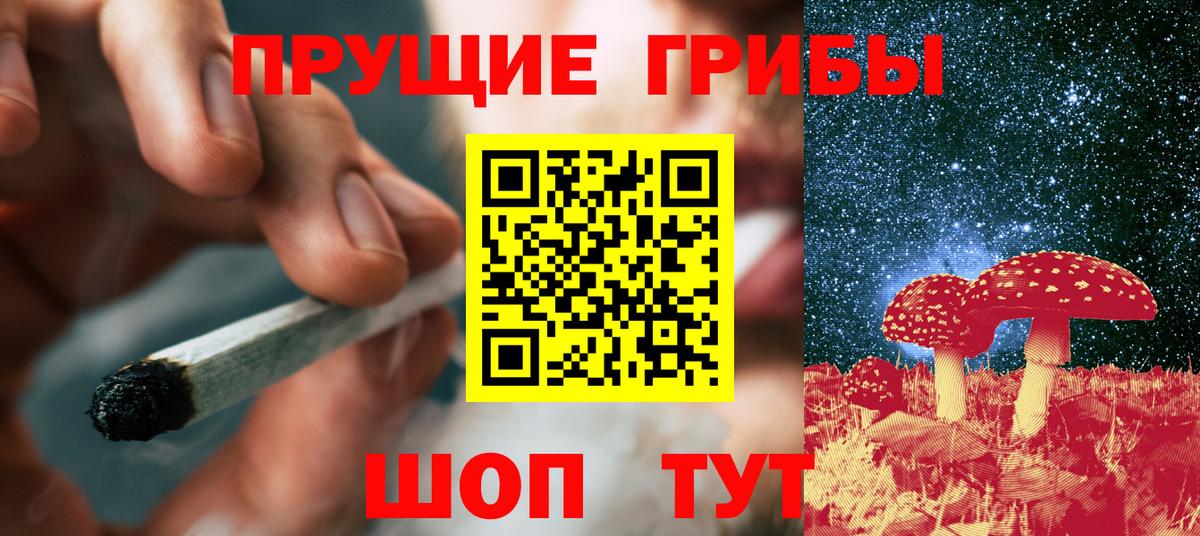 Тайшет  Псилоцибиновые грибы Magic Shrooms  Вход с VPN 